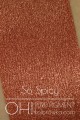 OH! PURE PIGMENT So Spicy swatch