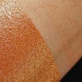 PURE PIGMENT Paradise Bronze Glitter swatch