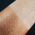 PURE PIGMENT Paradise Bronze Glitter swatch