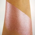 PURE PIGMENT Vintage Rose swatch