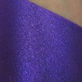 PURE PIGMENT Purple Spell swatch
