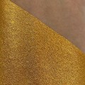 PURE PIGMENT Golden Poppy swatch