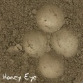 PURE PIGMENT Honey Eye - czysty, sypki pigment kosmetyczny do powiek i ciała