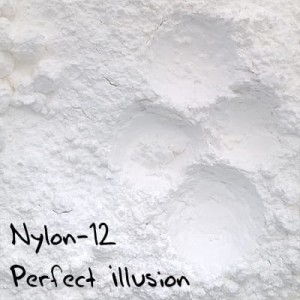 Nylon-12 Perfect Illusion