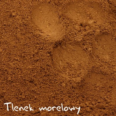 Tlenek morelowy - brązowy tlenek żelaza - matowy pigment mineralny