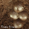 PURE PIGMENT Tropic Bronze - czysty, sypki pigment kosmetyczny do powiek i ciała
