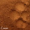 Cocoa Cocoa