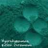 Hydratyzowana zieleń chromowa